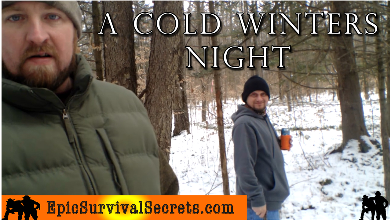 Cold-Winters-Night-Allegheny-National-Forest