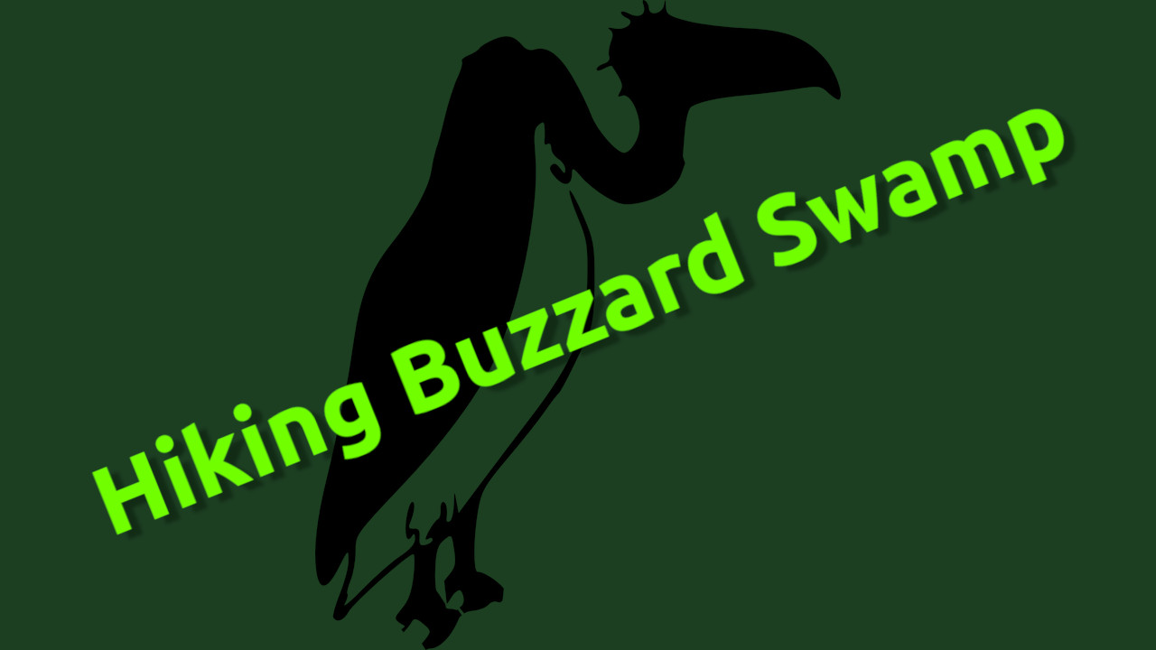 hiking-buzzard-swamp