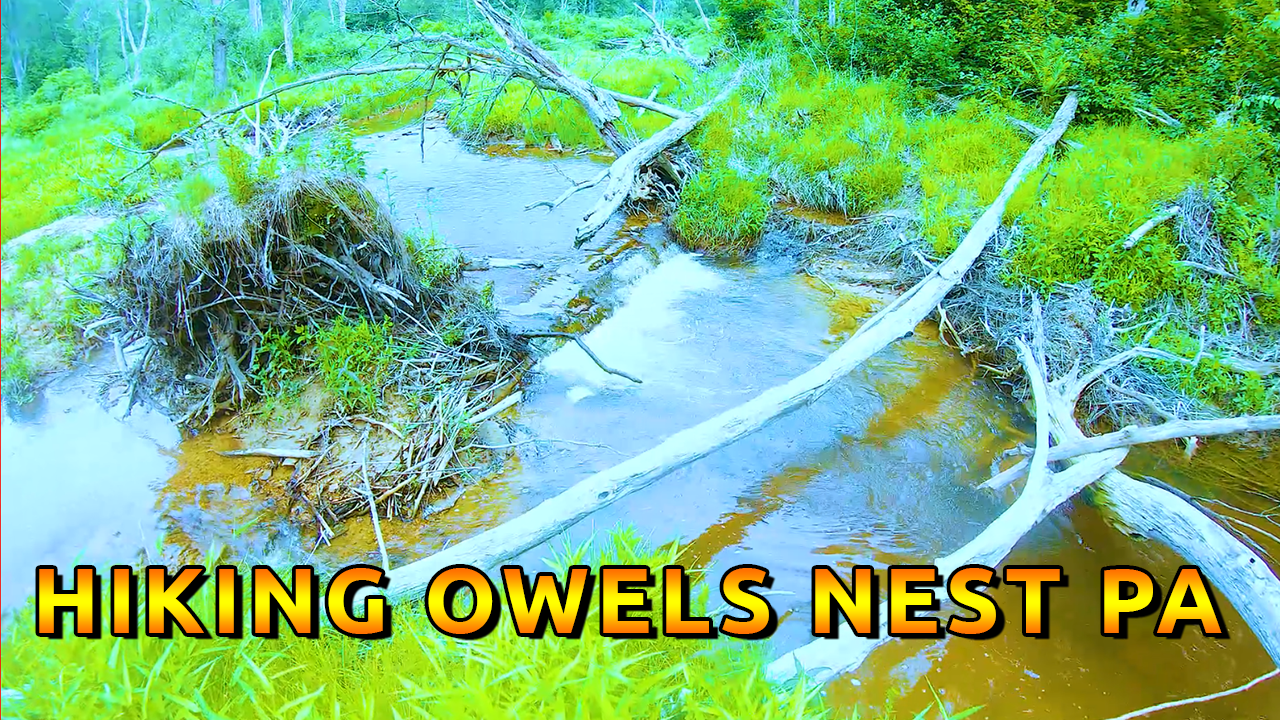 owels nest hike pennsylvania