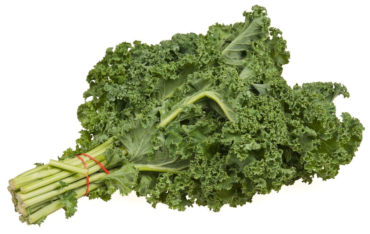 why you should be growing kale in your garden